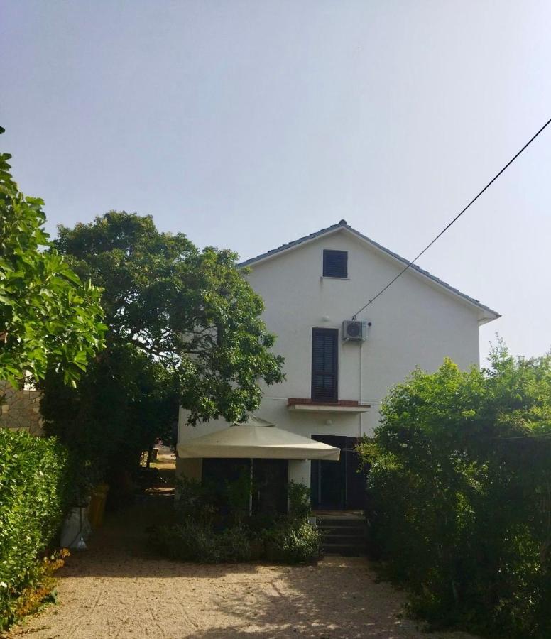 Holiday Home Bukovac 科里米诺 外观 照片